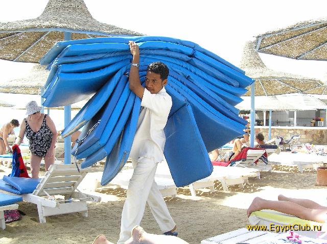 ������ ���