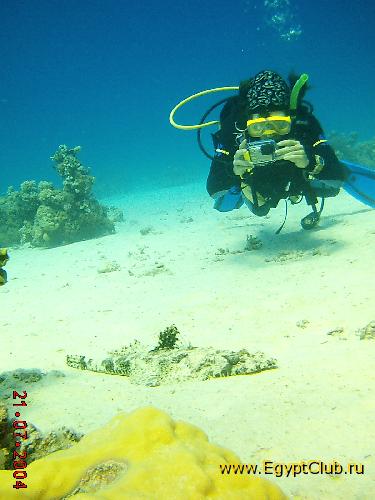 ����� �� ���������