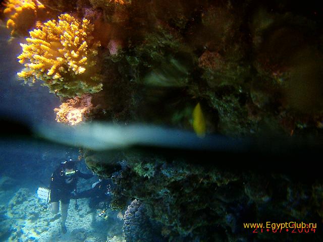 �������� �� ���