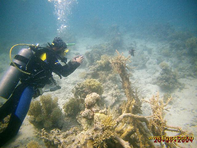 ����������