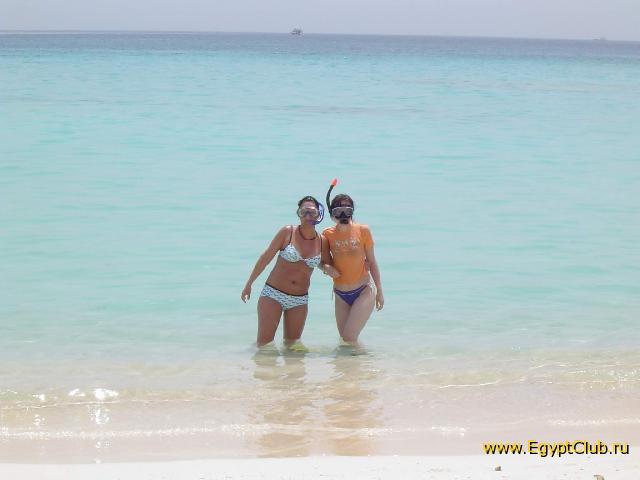 ������ ������