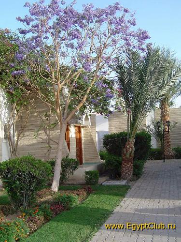 ���������� ����� ������� �����