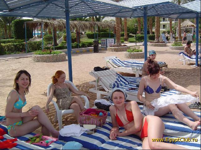 ���� ����� ������� �����