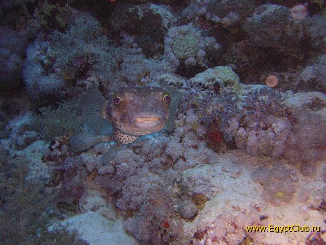 ��������!