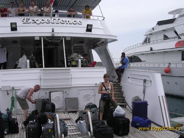 ������-������ 2005