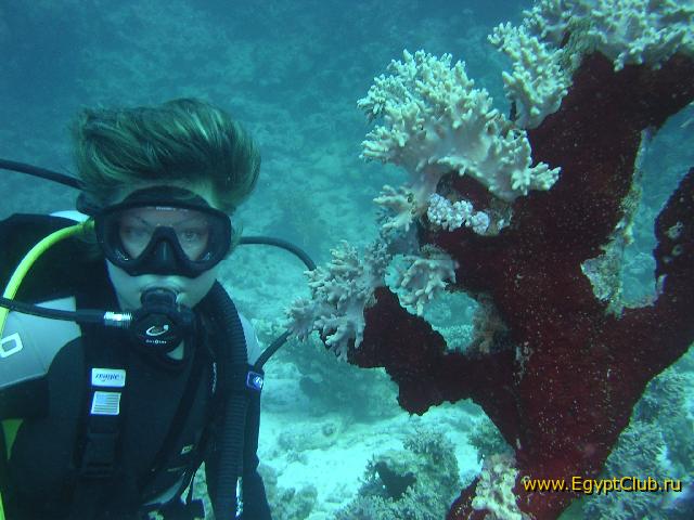 ������-������ 2005