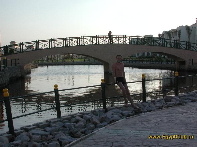 ���� ���