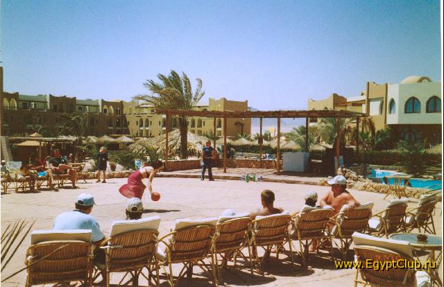 ����������