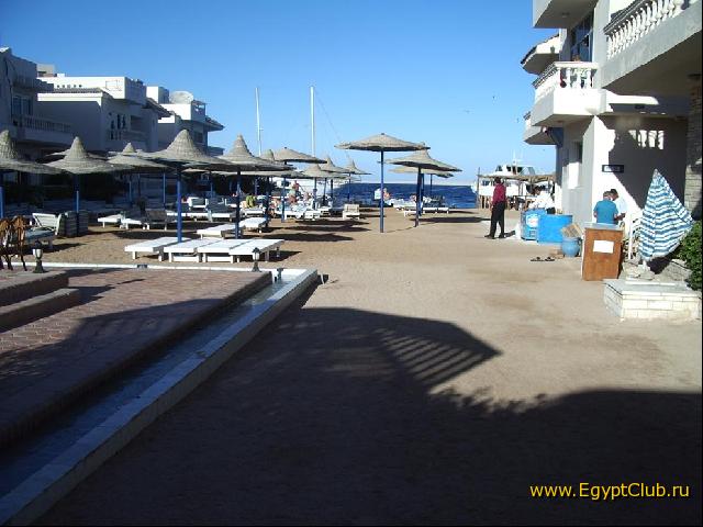 ��� �� ����