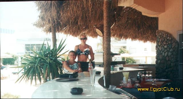 ��� ����� sea gull