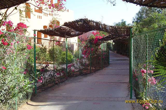 ������ �� ����