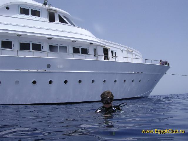 ������������...