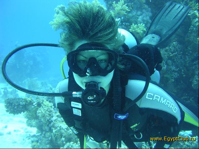 ������� ����������