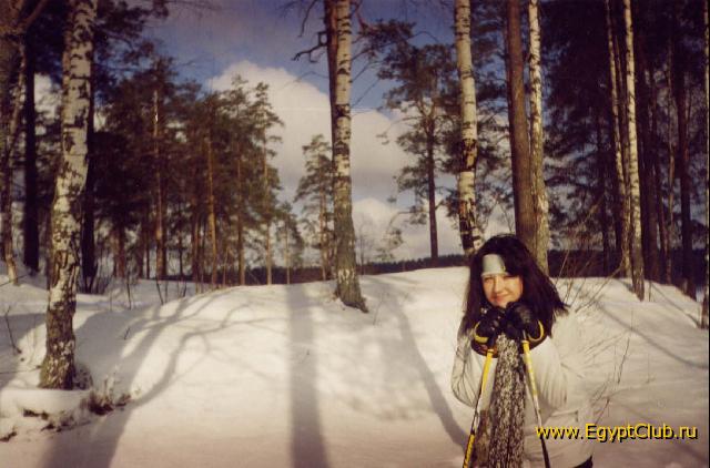 �������� ���