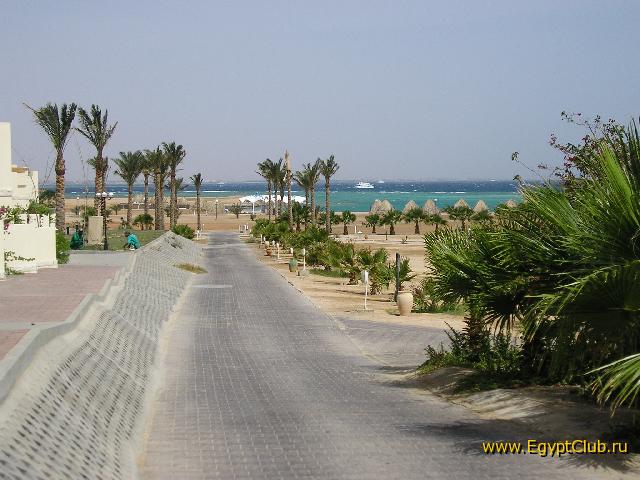 ����� ���