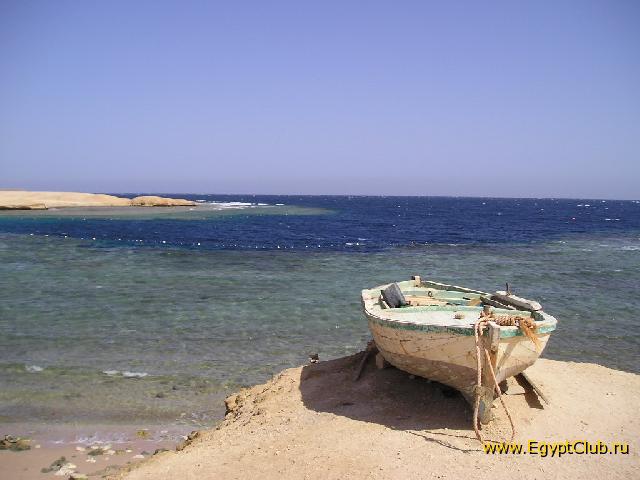 ���� ��� ����