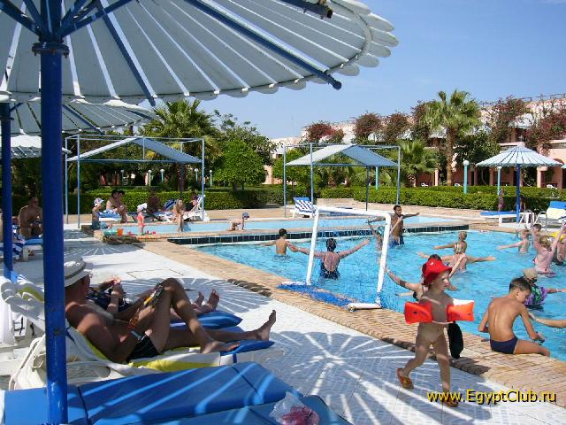 ��������. ������ 2004. ���� �������.