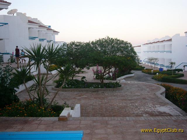 ��� �� ������