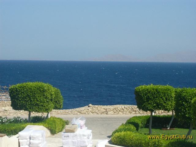 ��� �� ����