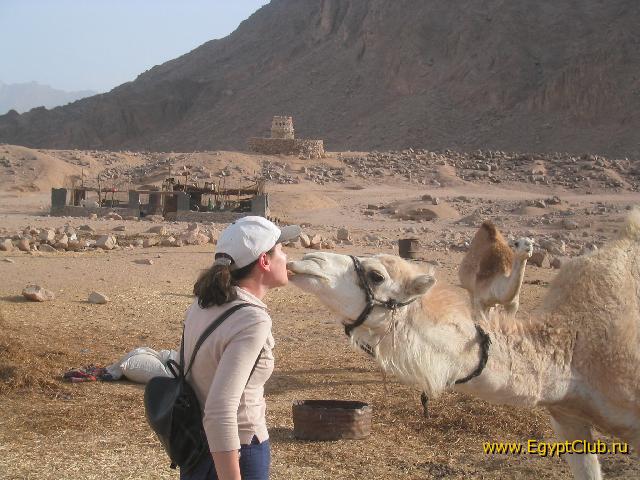 ��� �� ��������, � ���� ������!:-)