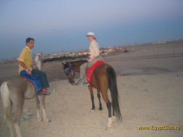 ���������� � ����� ��������, ��� �����������!