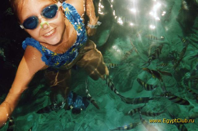 � ���� �������...