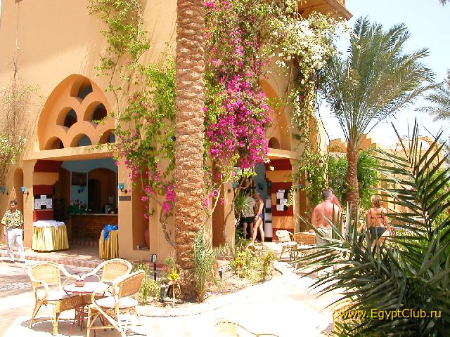 ��������� ���� ������