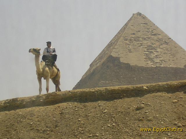 � ��� ������ �������, � � ��� ���������