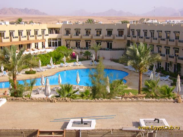 ���� �����