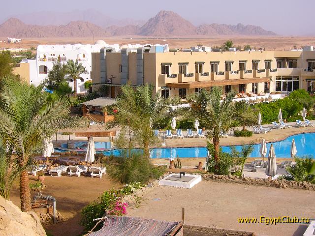 ���� �����