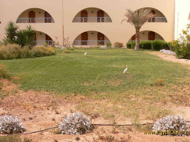 ������ �������