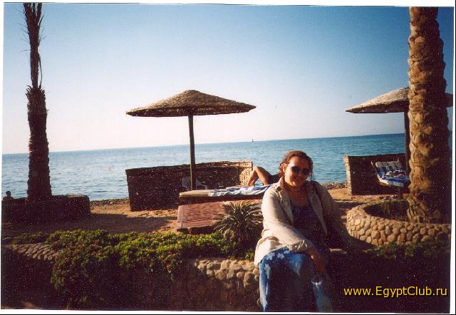 ���� ����� �����