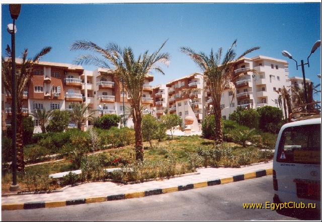 ��� ����