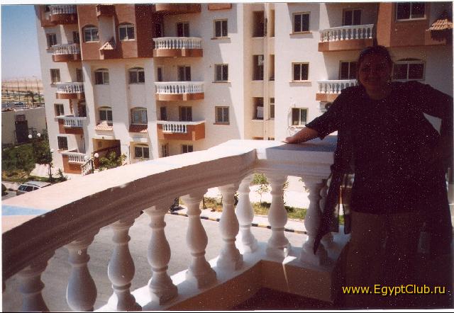 ��� ������