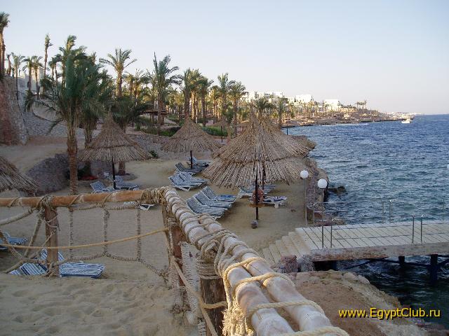 �������� �����, ����