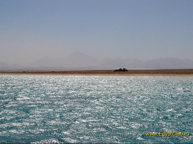 ������ �������