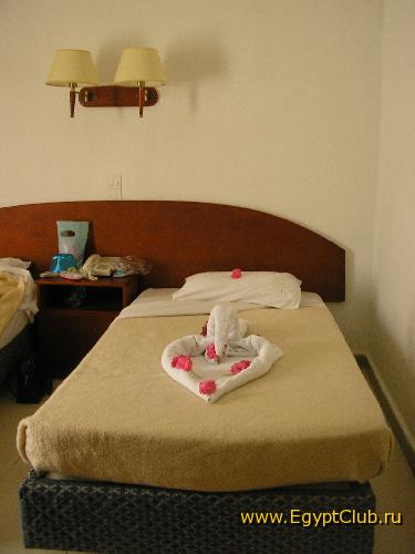 ��� ����� ������ � ��������