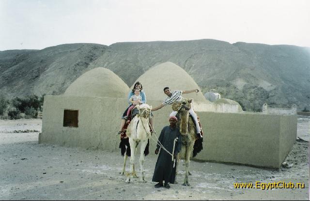 � ������-������ � �������..