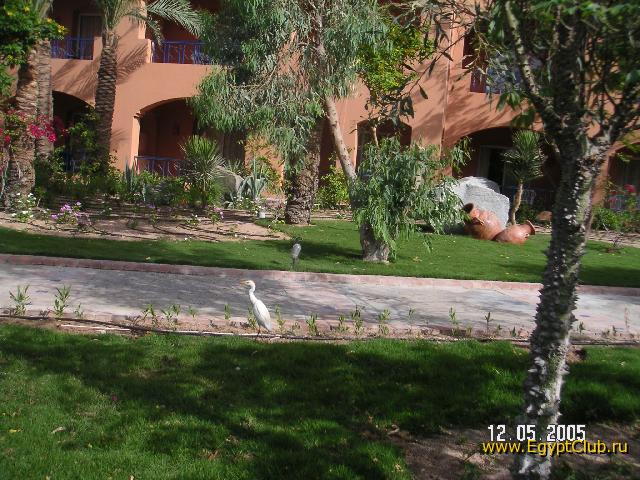 Iberotel Saraya Suites