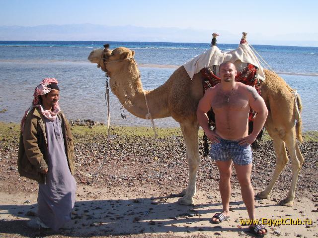 ���� ��������� 