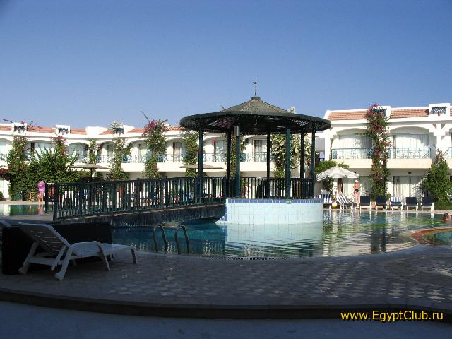 ��� ������