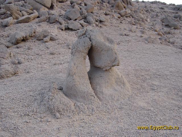 ����������� ���� ������