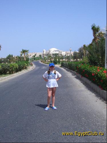 �� ������ � �����