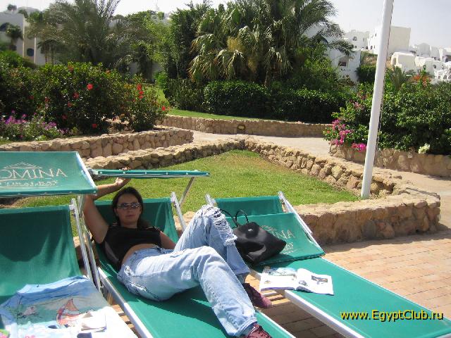 � ��������