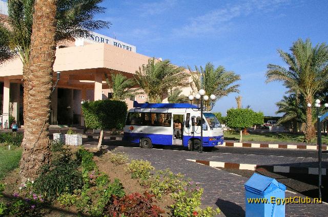 ������� �� Albatros Resort (2 ����� � 1 ��� � ���)