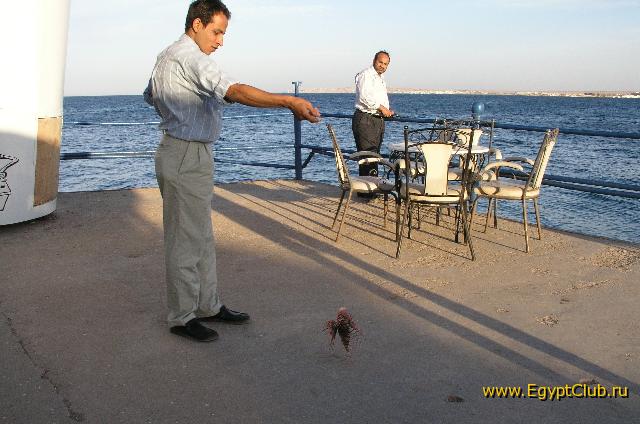 ������� �� ���������� �����