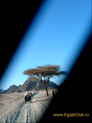 ���������� ��� �������