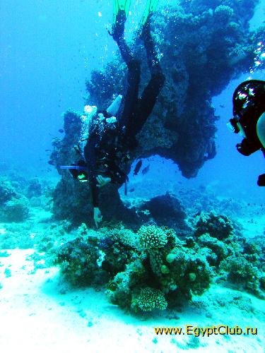 ����-���