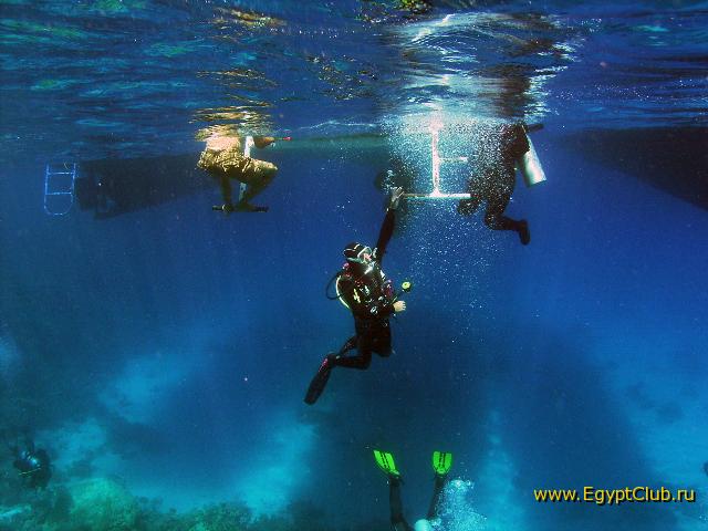 ����������