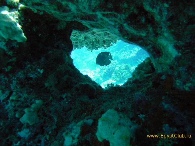 ��������� ���������